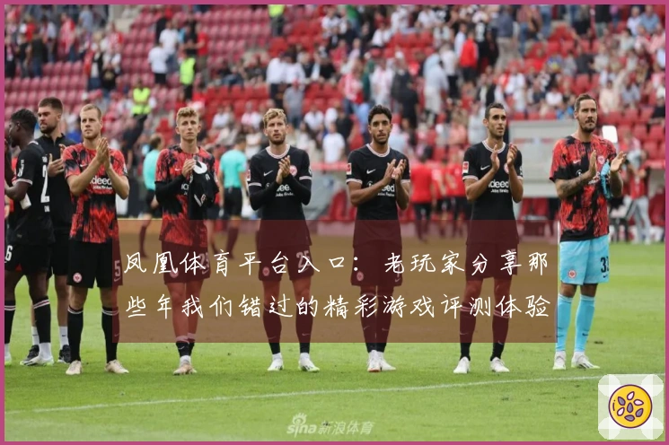 凤凰体育平台入口：老玩家分享那些年我们错过的精彩游戏评测体验