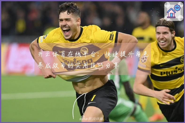 开云体育在线平台：快速提升角色养成效率的实用技巧分享