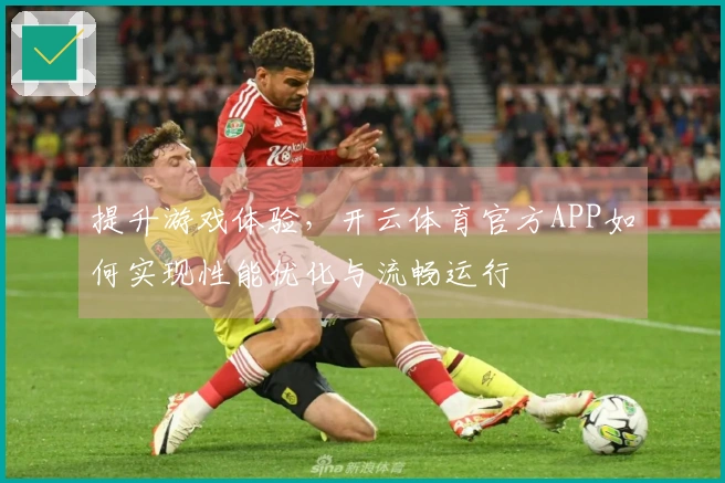 提升游戏体验，开云体育官方APP如何实现性能优化与流畅运行
